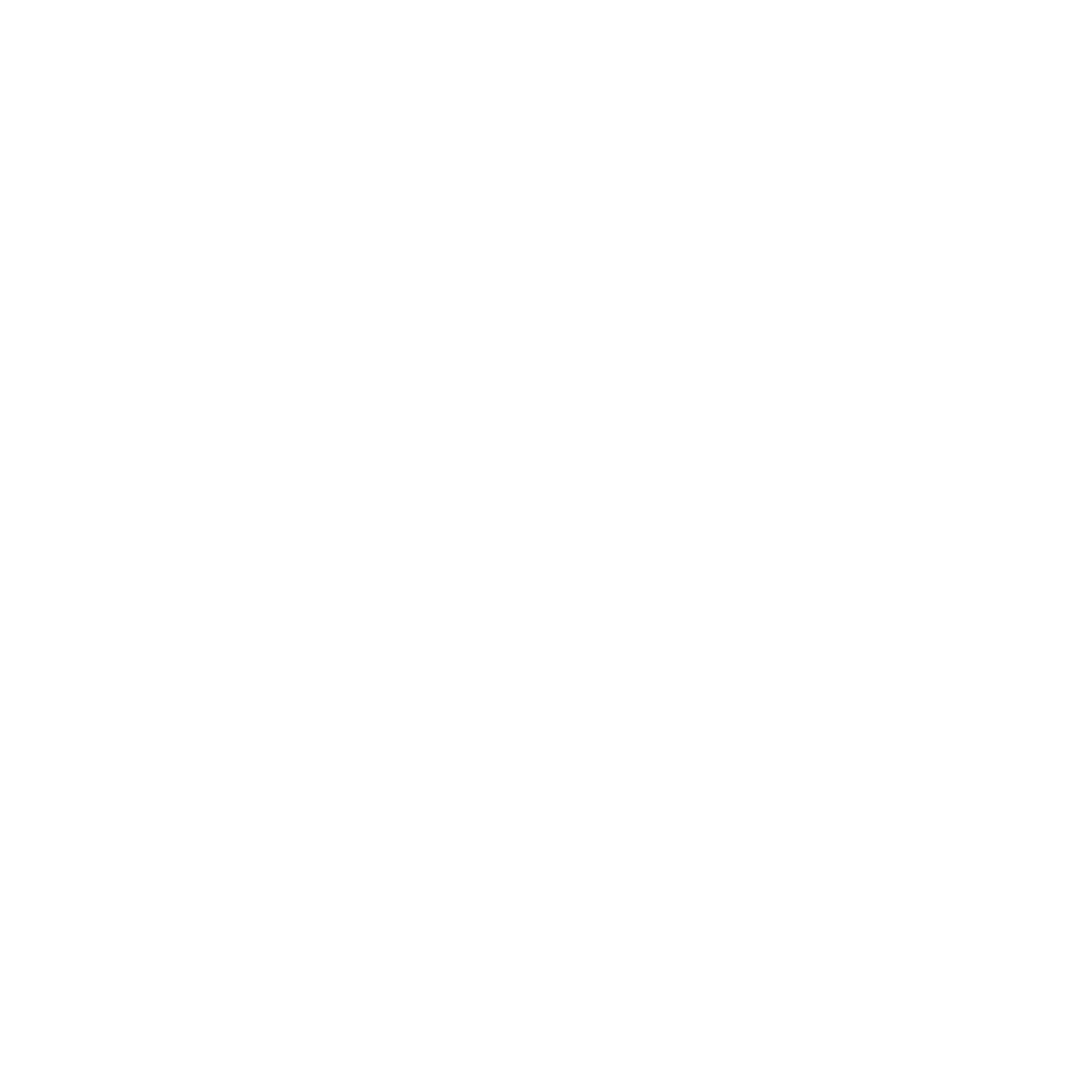 NAVTEK Decarb